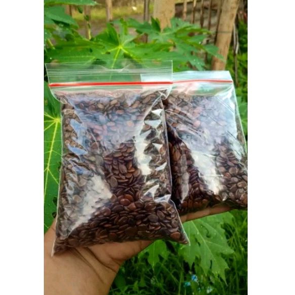 

Biji Lamtoro Kering/Biji Petai Cina/Ramuan Herbal Diabetes, dll