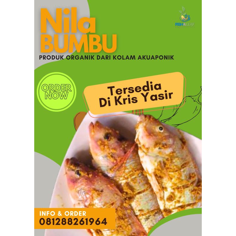 

Frozen Food Ikan Nila Bumbu Siap Goreng