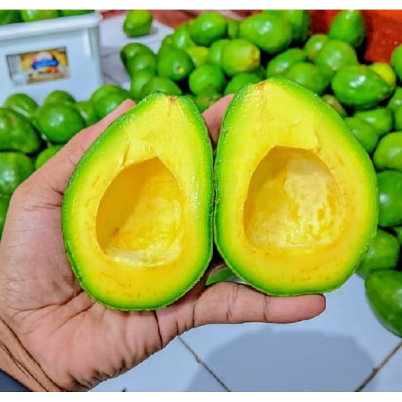 

Alpukat mentega fresh 1kg /petik dari petani 100%
