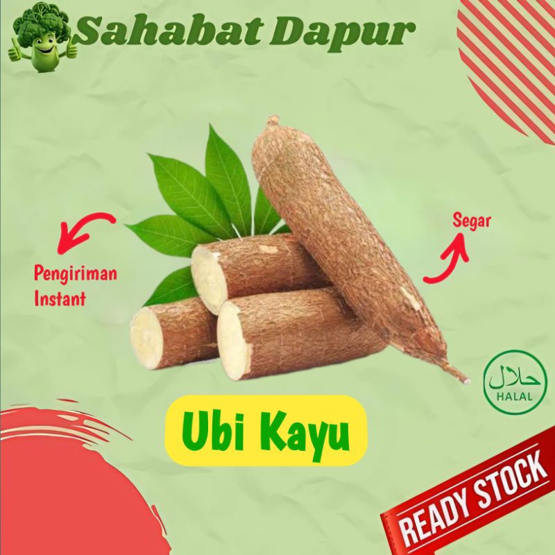 

Ubi Kayu / Singkong - Ubi segar Palembang