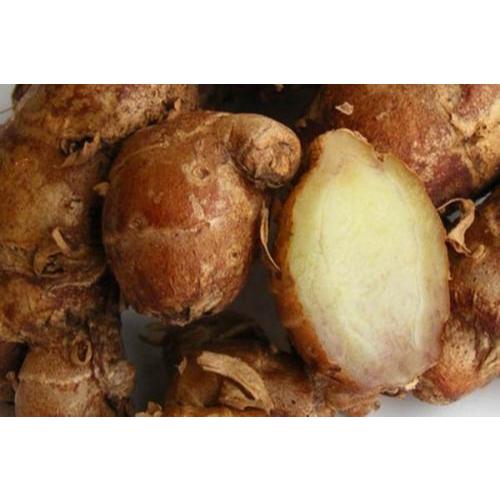 

Kencur fresh 500gram sudah bersih