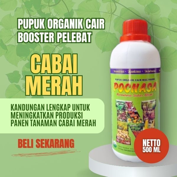 Pupuk Cabai Merah / Pupuk Cabai Merah Kering / Pupuk Cabai Merah Besar / Pupuk Cabai Merah Keriting