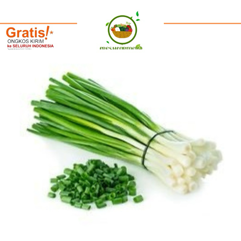 

daun bawang fresh daun prei segar berkualitas