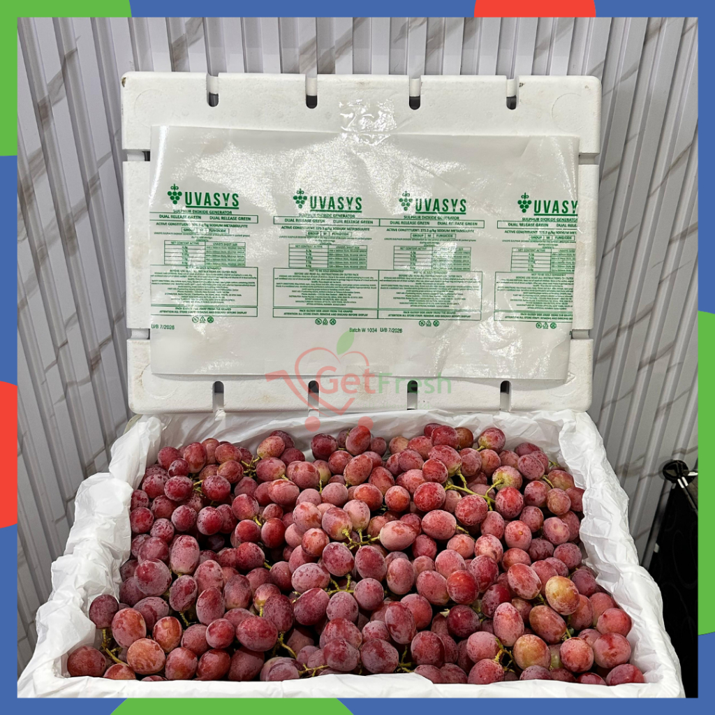 

Anggur Red Globe Chile +- 8kg
