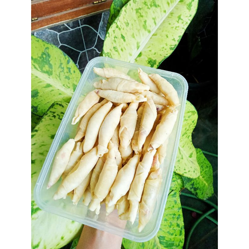 

molen mini 70pcs (oven)