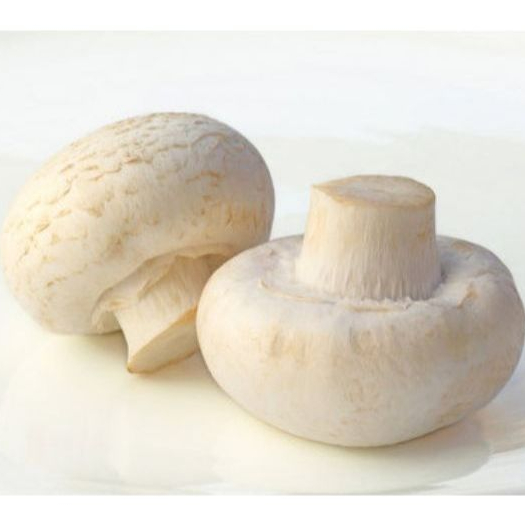 

Jamur Kancing Fresh 100 gram - Button Mushroom 100 gram