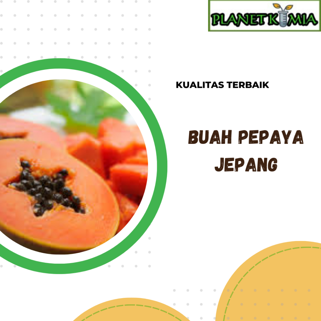 

ekstrak buah pepaya jepang best prouct