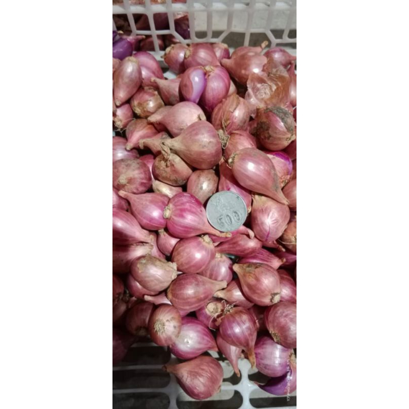 

BAWANG MERAH BREBES BESAR SUPER 250gr