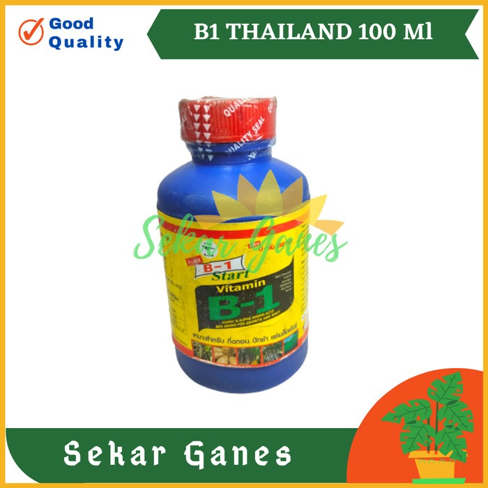 ORI Vitamin B1 Thailand T-REX 100ml 500ml Original pupuk anti stres tanaman impor Nutrisi B1 Penumbu