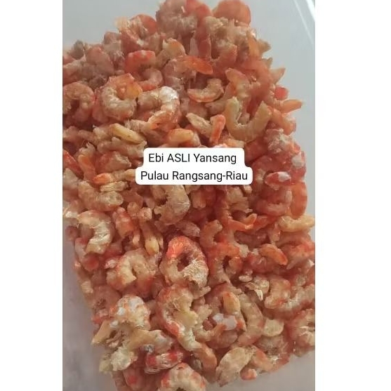 

Ebi Kering Asli Yansang Pulau Rangsang Riau 100 gr