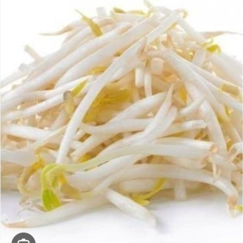 

Sayur Toge Bangkok Segar ½kg - 500gram / Sayur Tauge Bangkok Segar ½kg - 500gram