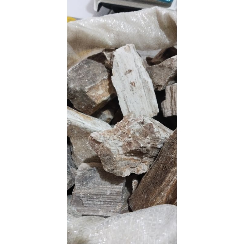 Batu Fosil Kayu Aquascape