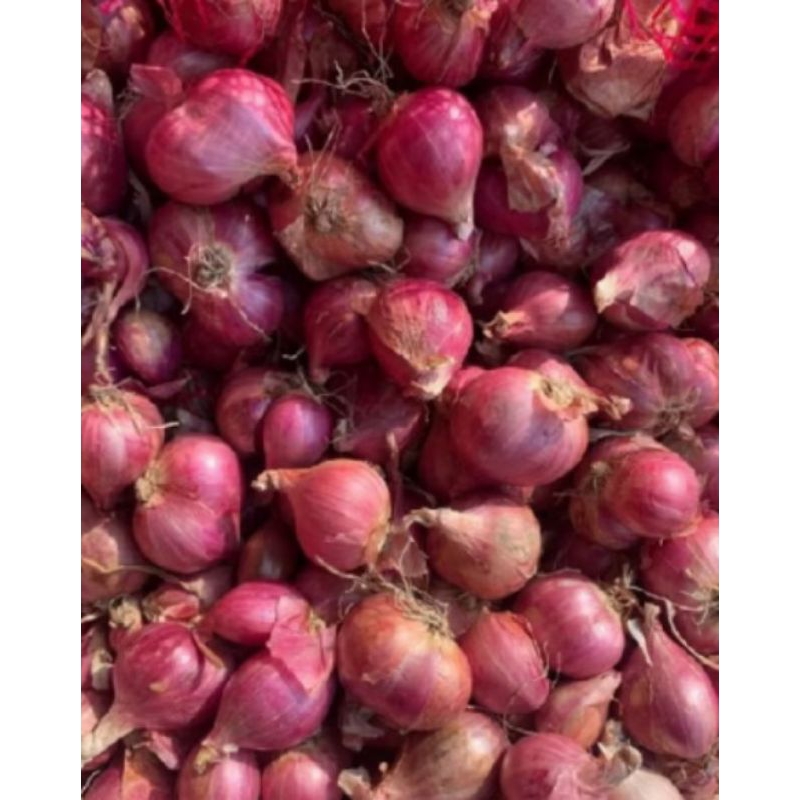 

Bawang merah 1kg ukuran sedang campur kecil
