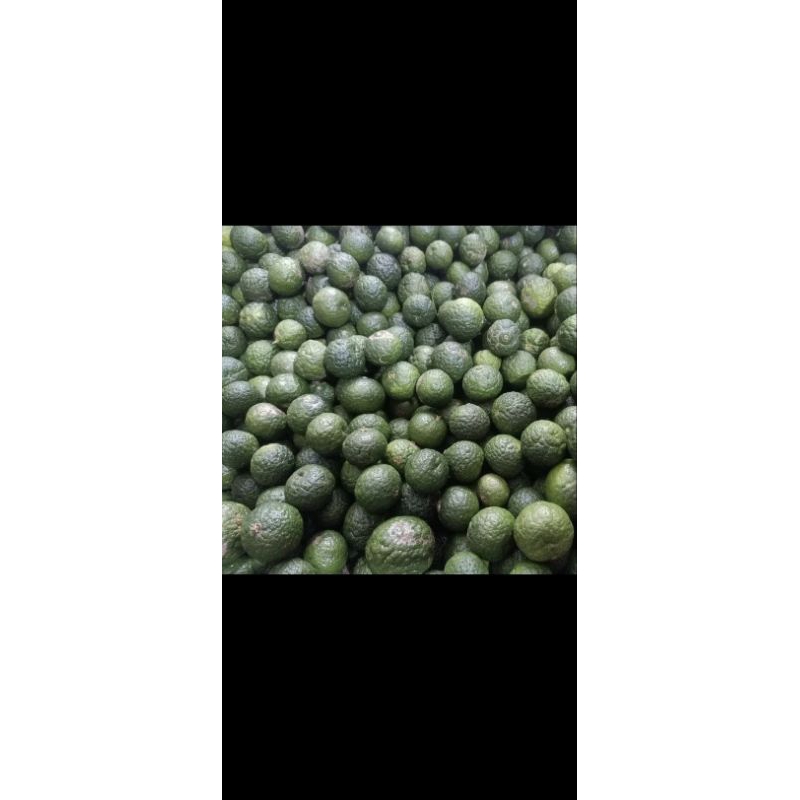 

JERUK LIMAU FRESH LANGSUNG KIRIM