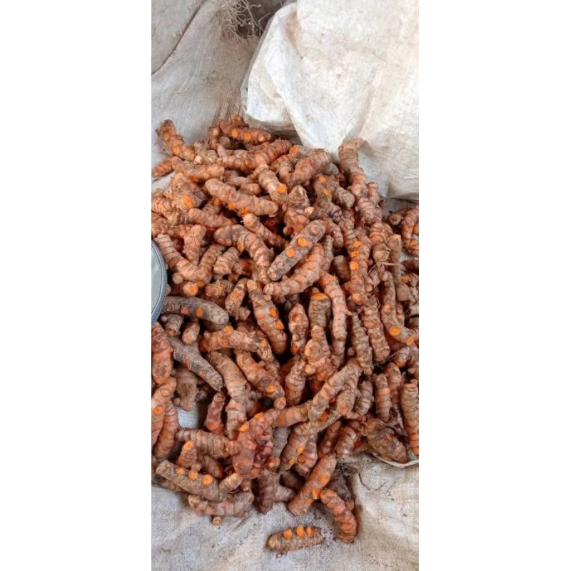 

KUNYIT Segar 1kg