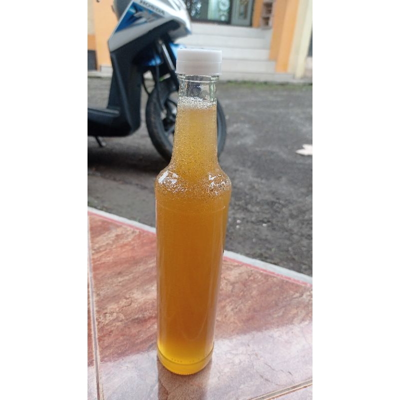 

Madu hutan atau dorsata