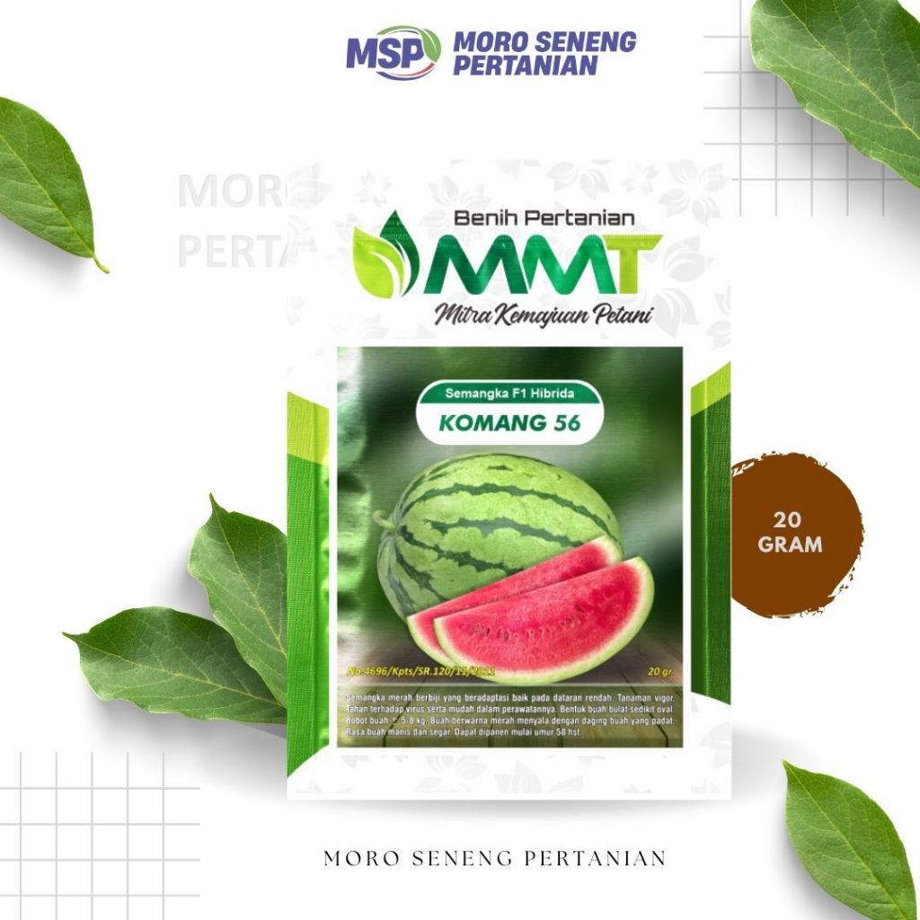 BENIH SEMANGKA F1 HIBRIDA KOMANG 56 || 20 GRAM