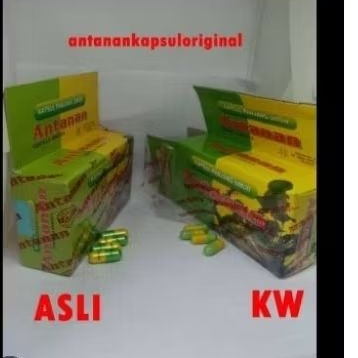 

Herbal daun 1 box isi 12 sachet