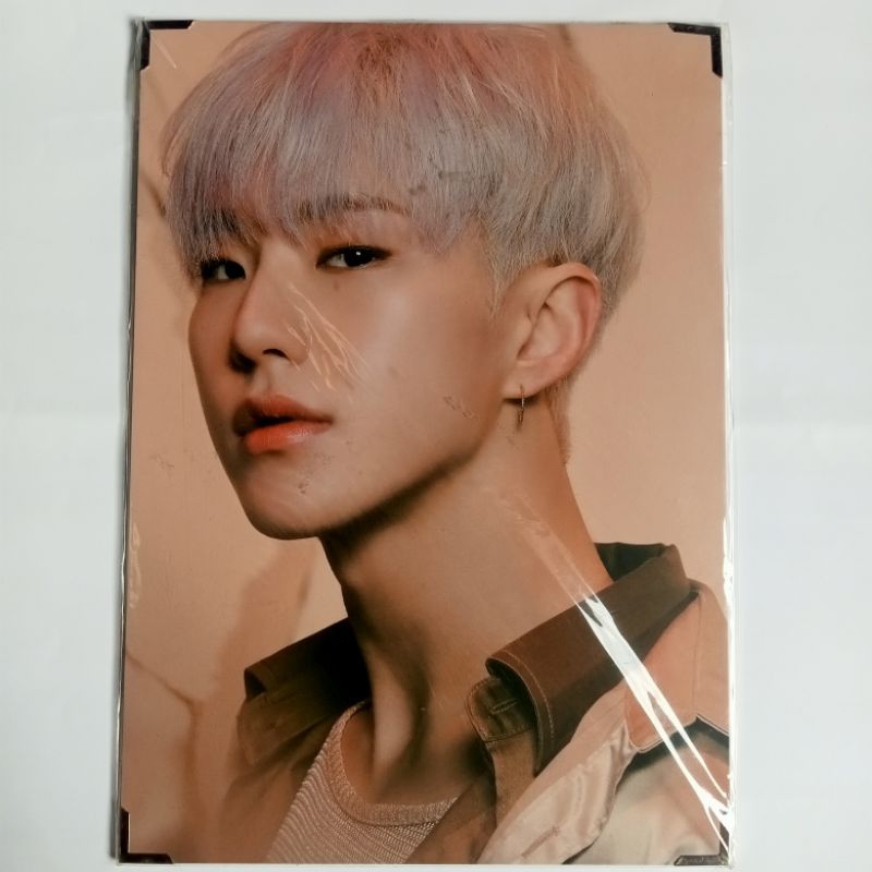 [clearance sale] hoshi premium photo sealed spider seventeen the thirteen tapes