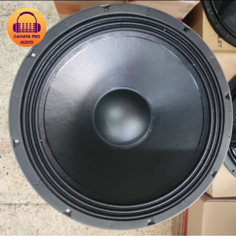 Speaker ACR Fabulous 18" PA 113188 SW Fabulous 18 Inch Double Magnet Voice Cool 4.5 Inch