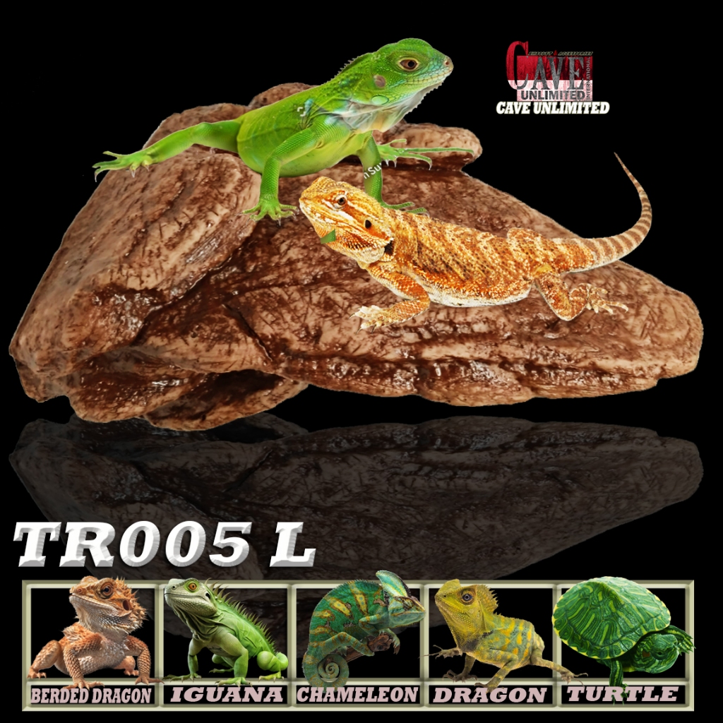 TR005 L BASKING SPOT RAMP ELEVETED OUTCROPS TANGKRINGAN TEMPAT BERJEMUR HEWAN REPTILE KADAL  LIZARD 