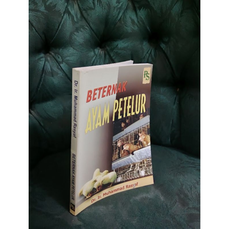 Beternak Ayam Petelur