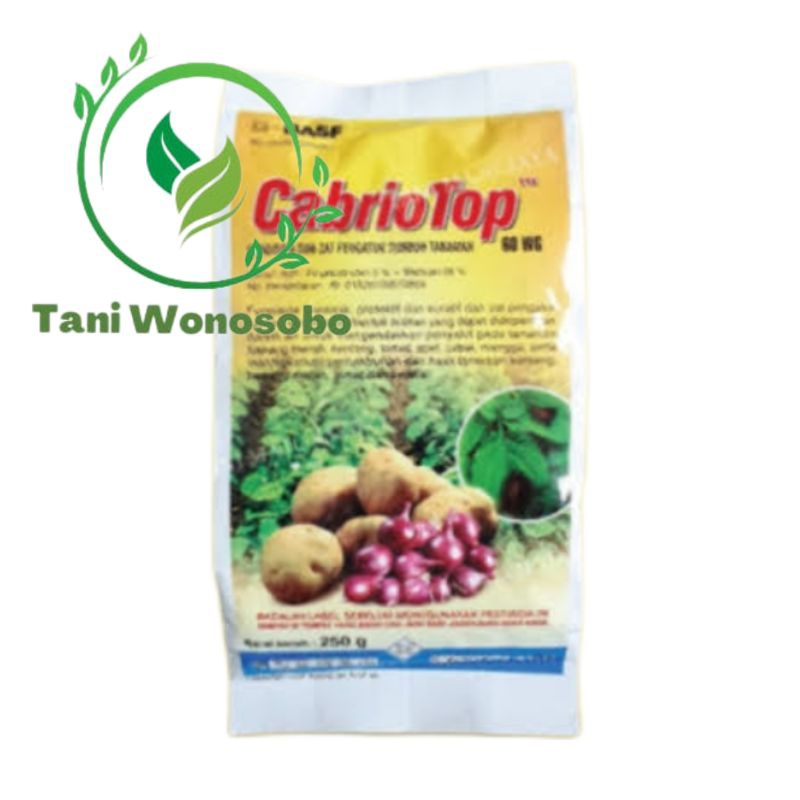 CABRIO TOP 250 GRAM