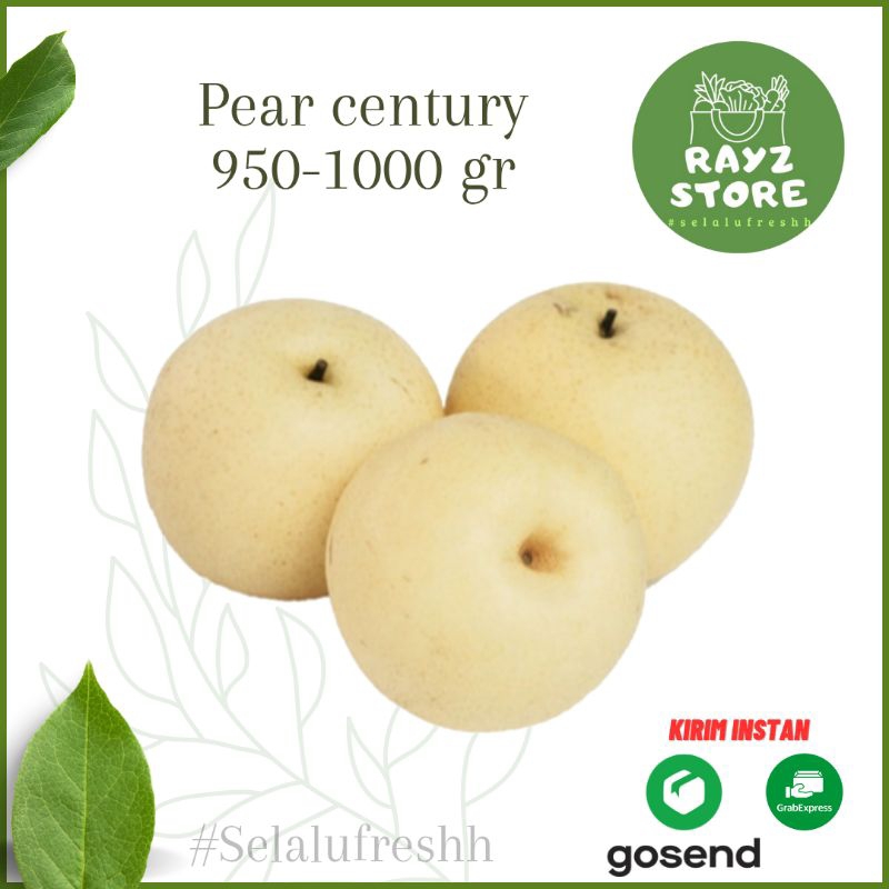 

Pear Century Segar 1 Kg - Buah Pear Berkualitas dan Segar untuk Kesehatan Tubuh