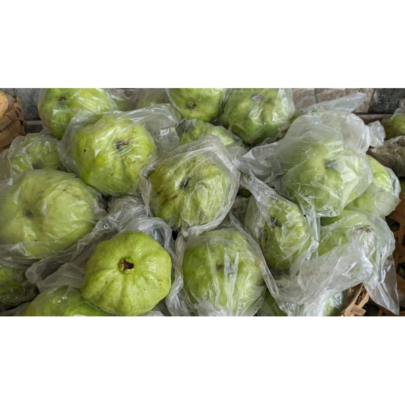 

jambu kristal