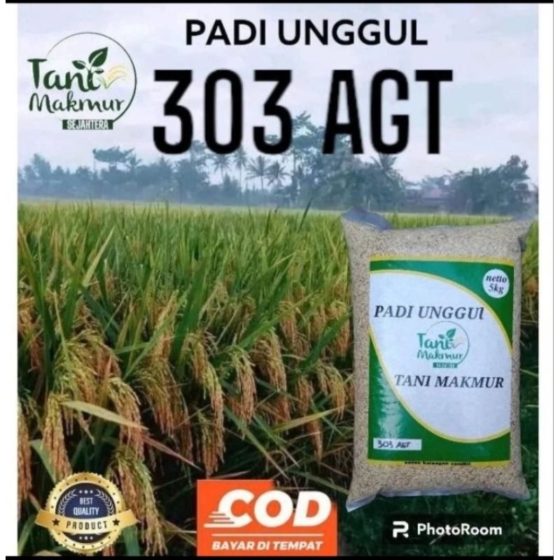 BENIH PADI AGT 303 original Kemasan 5KG