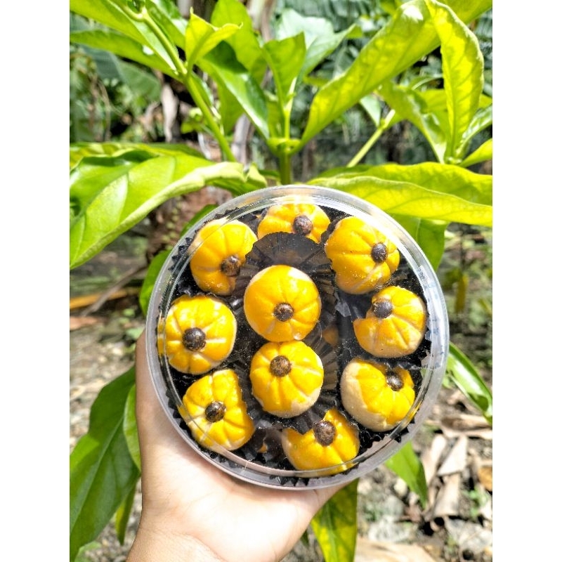 

KUE KERING NASTAR LABU HOMEMADE 250GR