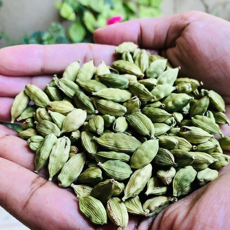 

Kapulaga Hijau Utuh Premium Whole Green Cardamom Natural Allepey Kapulaga Arab Kapol Fresh Stock