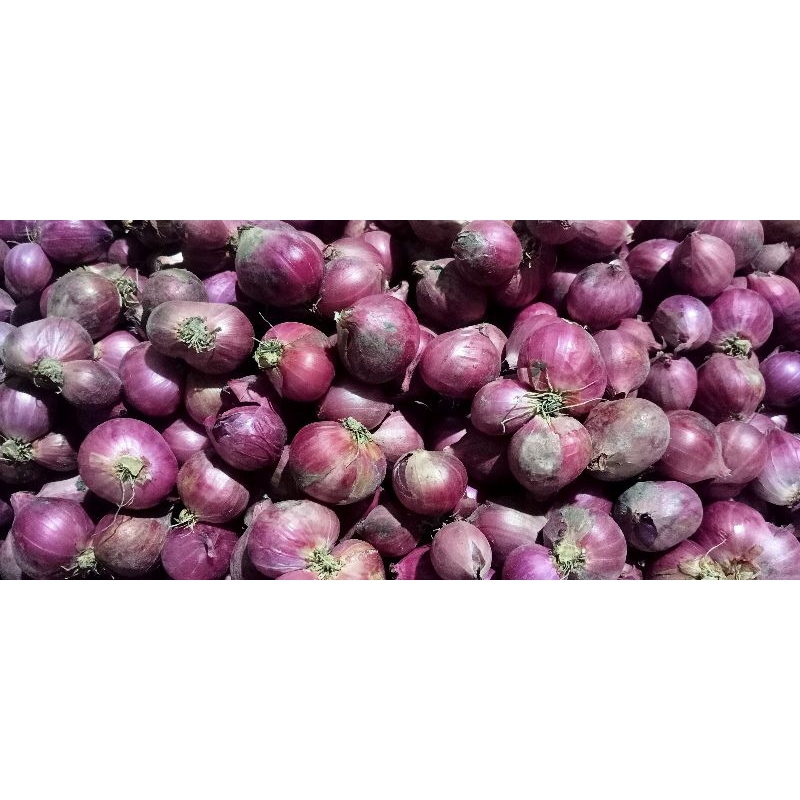 

Bawang Merah 500gram