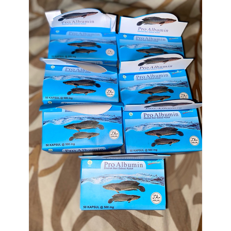 Albumin obat kutuk/haruan/gabus