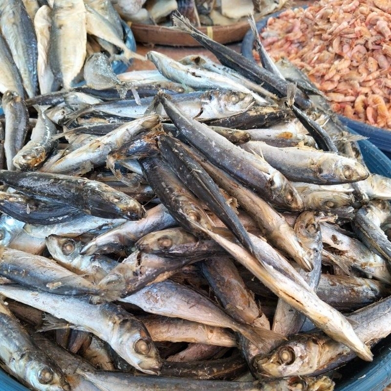 

Ikan asin dencis rebus 1kg