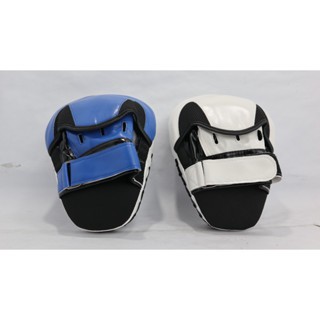 Muay thai boxing pad bantalan tinju pacing pad REYID Target pad