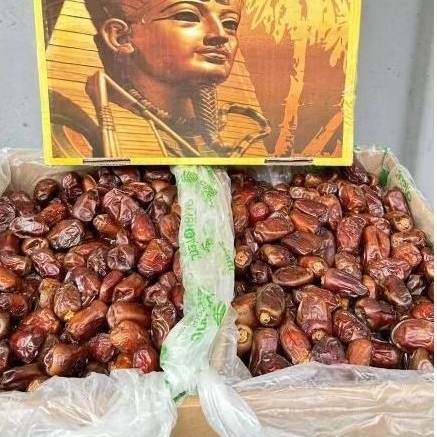 

Kurma golden valley