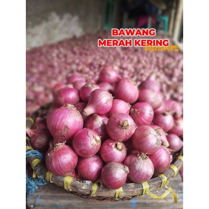 

Dari Petaninya Langsung Bawang Merah Kering 1KG