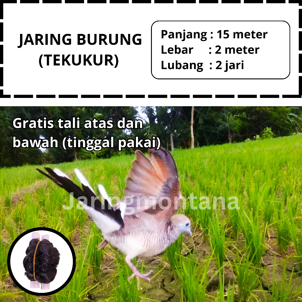 JARING BURUNG PERKUTUT PIKAT JEBAKAN BURUNG SIAP PAKAI PANJANG 15 METER JARING MONTANA