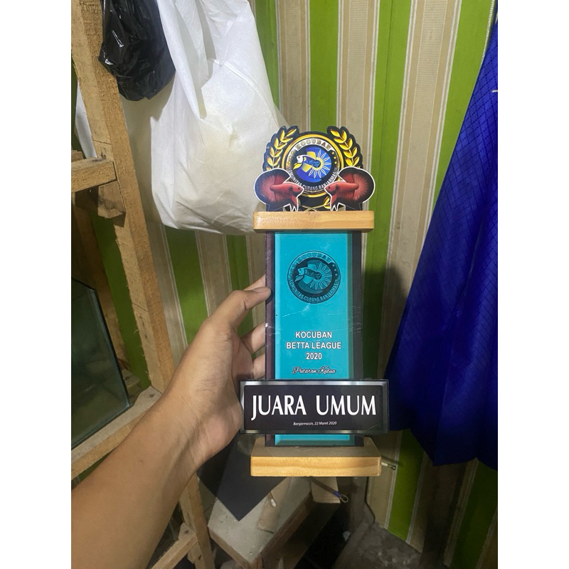 Piala juara Umum cupang