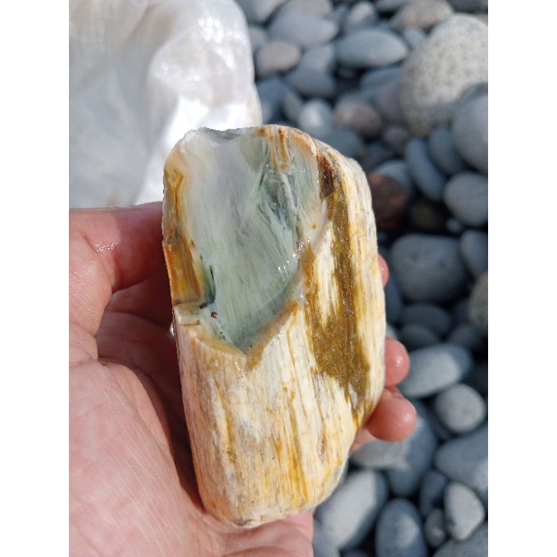 forsil kayu keristal