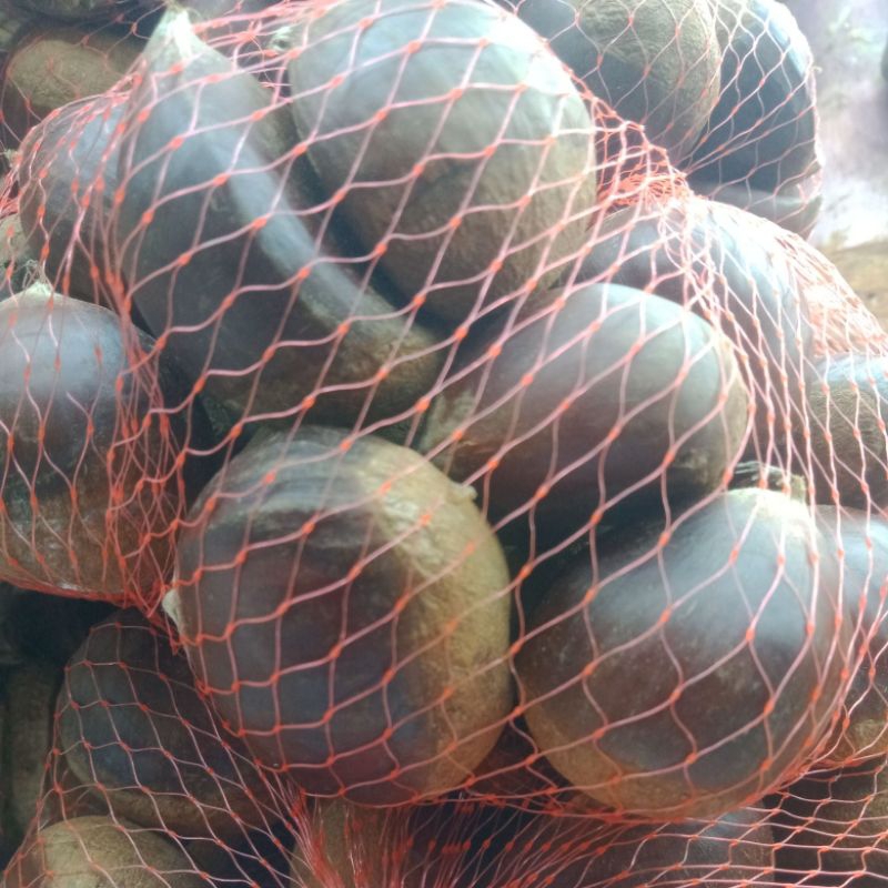 

Chestnut RRC 1Kg /Kacang Chestnut /Kacang Import
