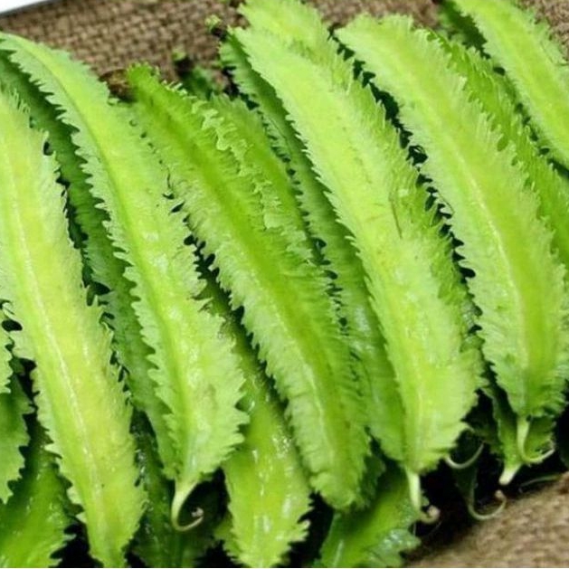 

Kecipir segar 1 kg