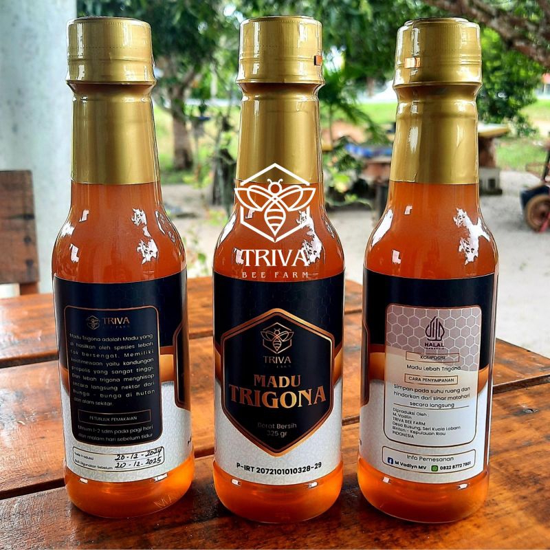 Madu Kelulut klanceng galo-galo trigona itama madu lebah murni