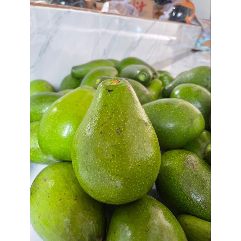 

Alpukat MENTEGA 1kg isi 3-4 buah
