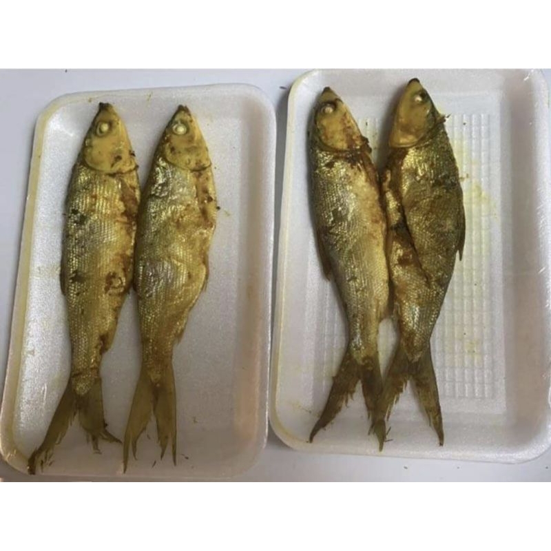 

Ikan Bandeng Presto MA 2pcs / 3pcs
