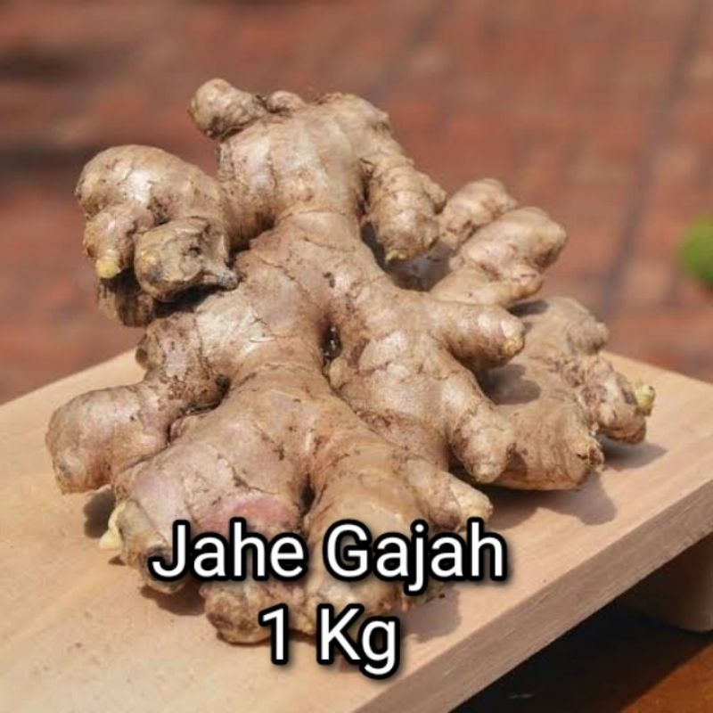 

Jahe gajah jumbo 1kg