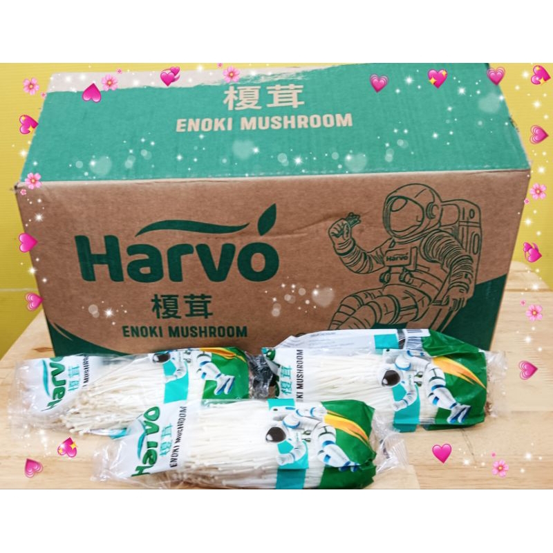 

JAMUR ENOKI HARVO 50PC/DUS / ENOKI MUSHROOM