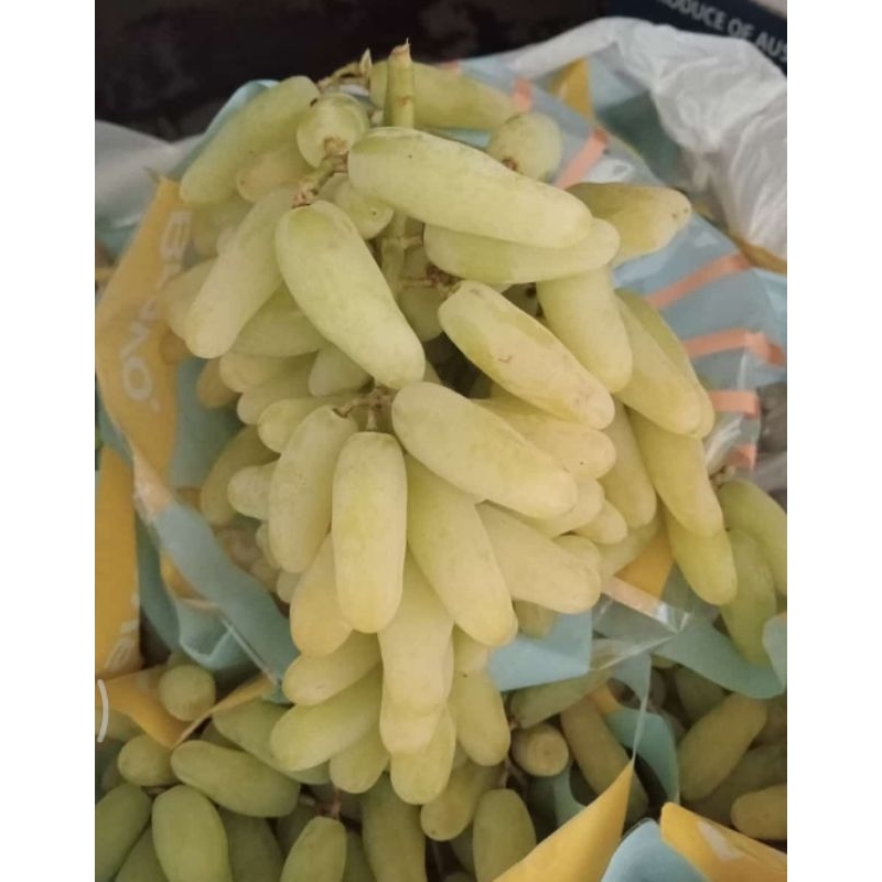 

Anggur jari thomson | anggur sweet 1kg