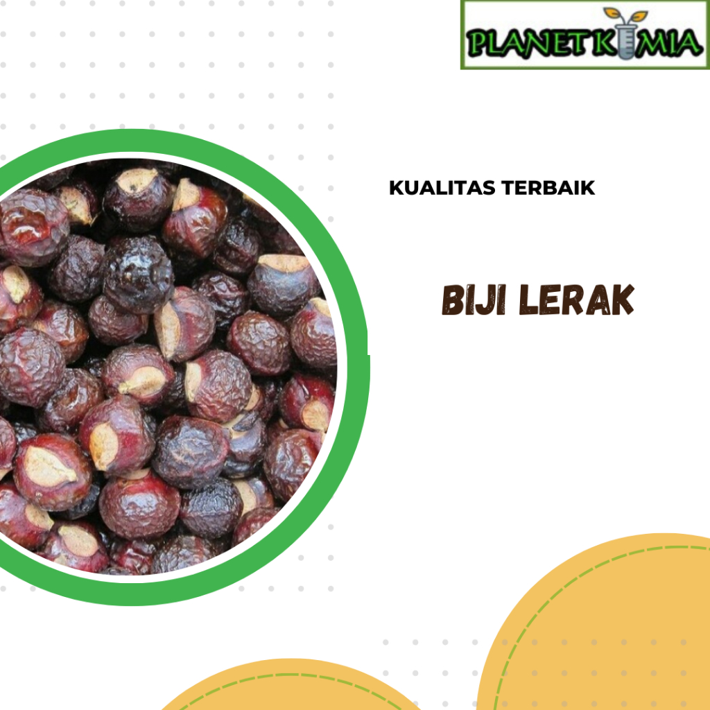 

ekstrak biji lerak best product